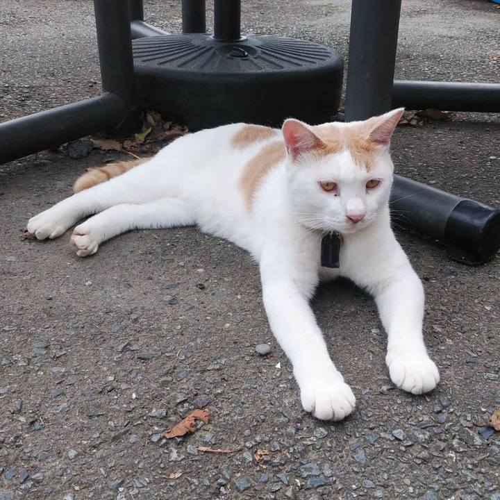 023186ab feb9 4e75 8a0f 3ca314fd623d 1569285188112