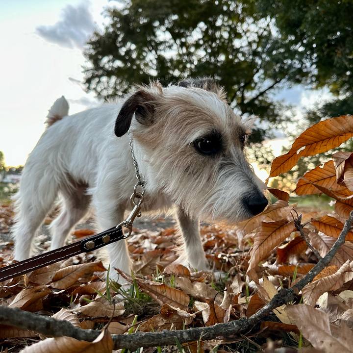 0231b955 8b24 4714 af5e 1f29f9e29637 1732374916410