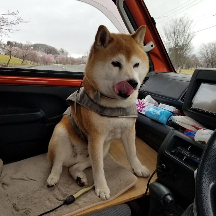 0231c2d9 a716 44f9 8cb8 ff51ba555221 1650081056466