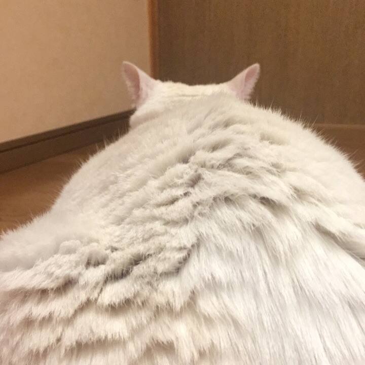 0231fda0 abed 4e06 aa99 9cb2a4515d92 1581841972973