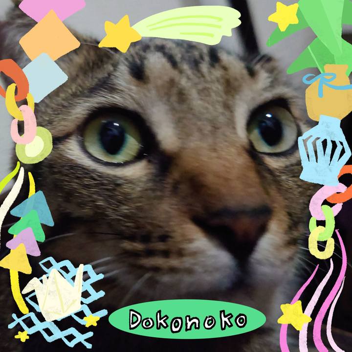 023203ae 9f0c 402c a3b0 bcb1b4a3a4d6 1755344476708