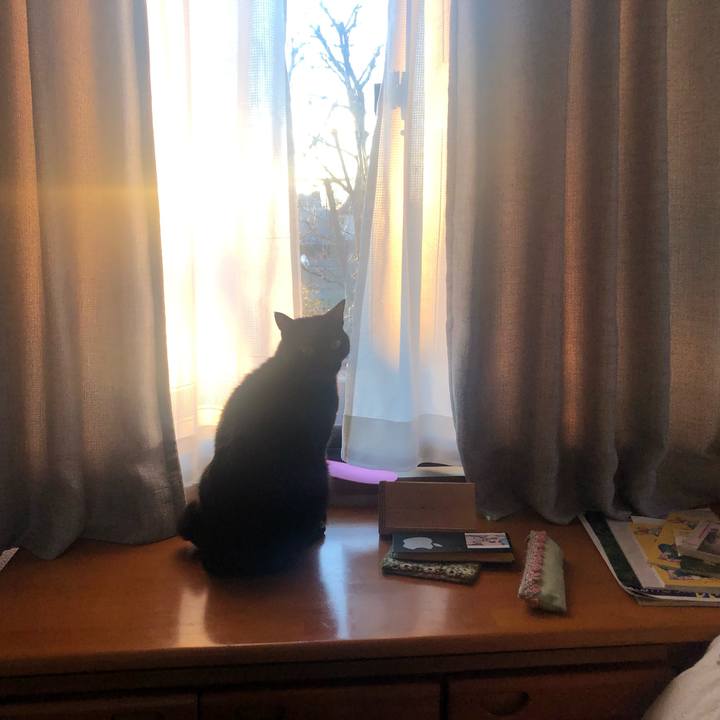 023208fb 435b 49e9 9e5c aacf6c23738b 1644039656972