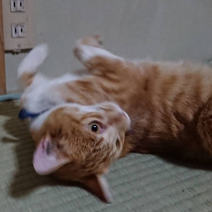 023222c8 10e1 4731 b43f 9e2960539211 1565352665619