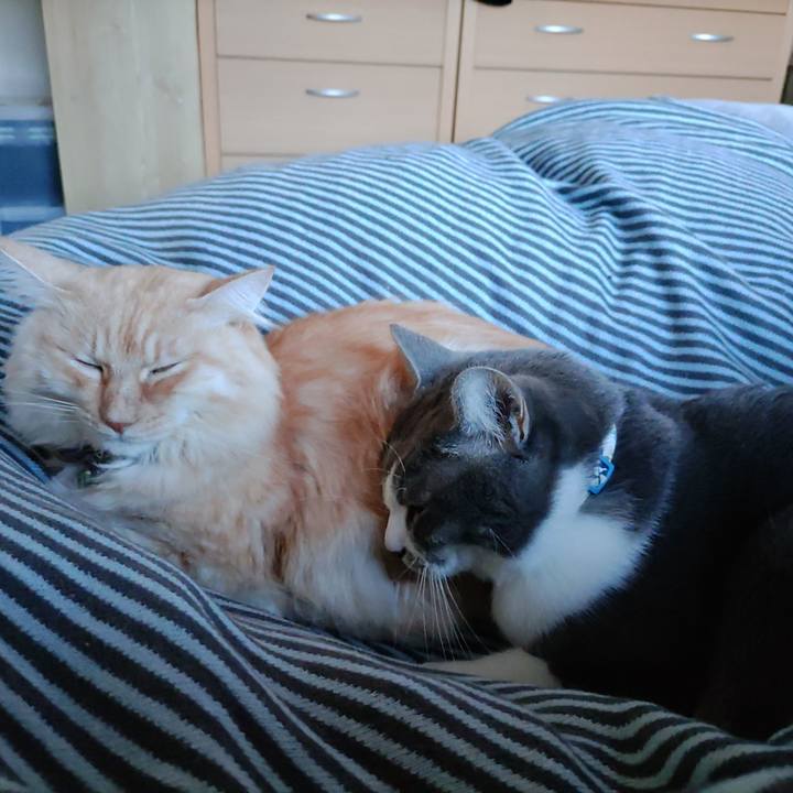 023250e4 4ae9 466a 85ae 3845796d9918 1700616863008