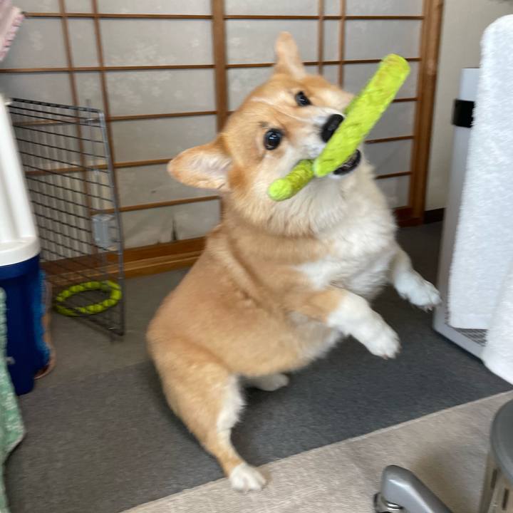 02325a09 f5e6 4068 89a5 fe15f690e273 1754048411641