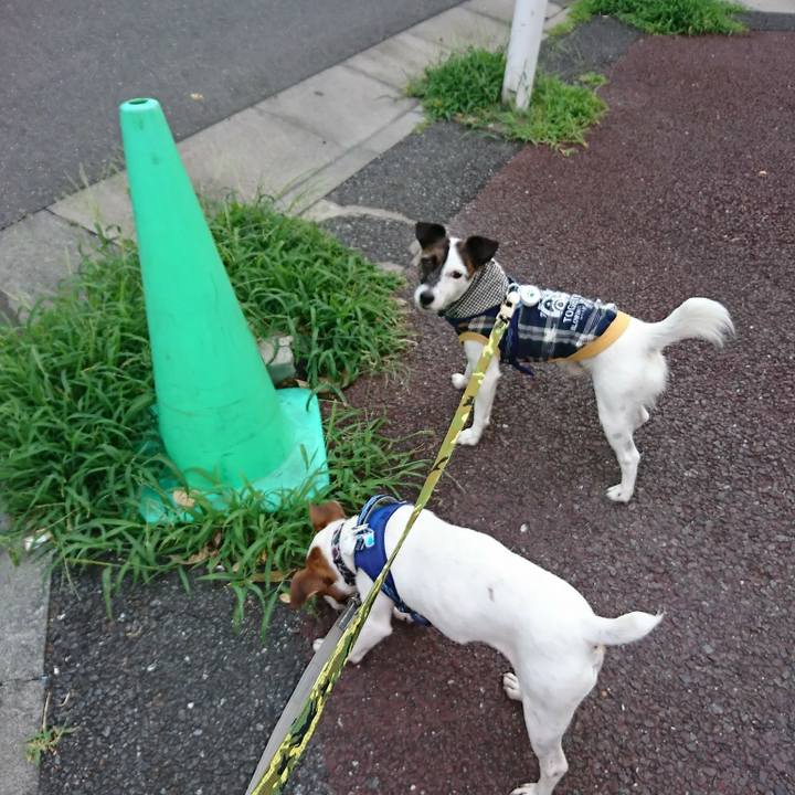 02325fcb 599a 456e 8301 265be048494c 1531607542934