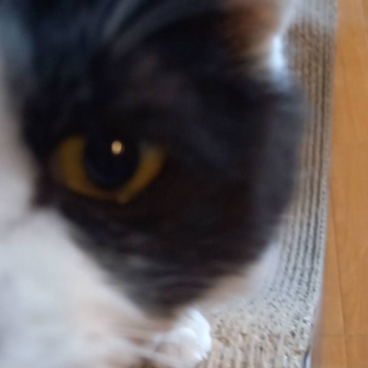 02326cdf 9477 4856 97e7 cf183b2779c5 1648856415279