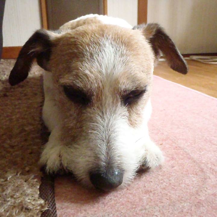 023278a3 a9eb 4a52 8954 1fdd4fe23d06 1526474775246