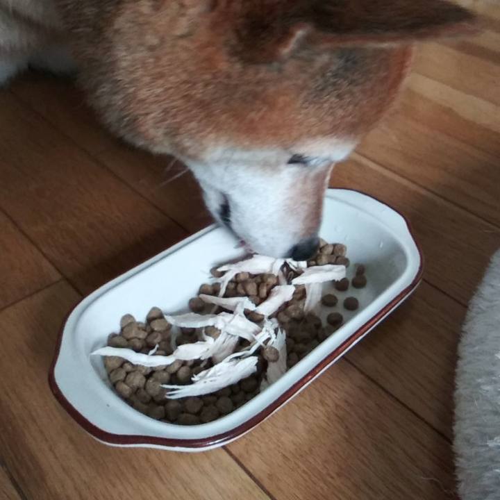 023286fe f7e0 4a33 b974 580e4699dd43 1624576125262