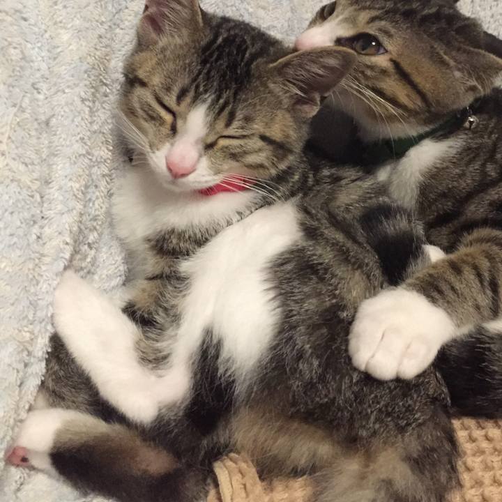 02329895 1a51 44c4 8b4d ee9478b2ad4e 1662218114308