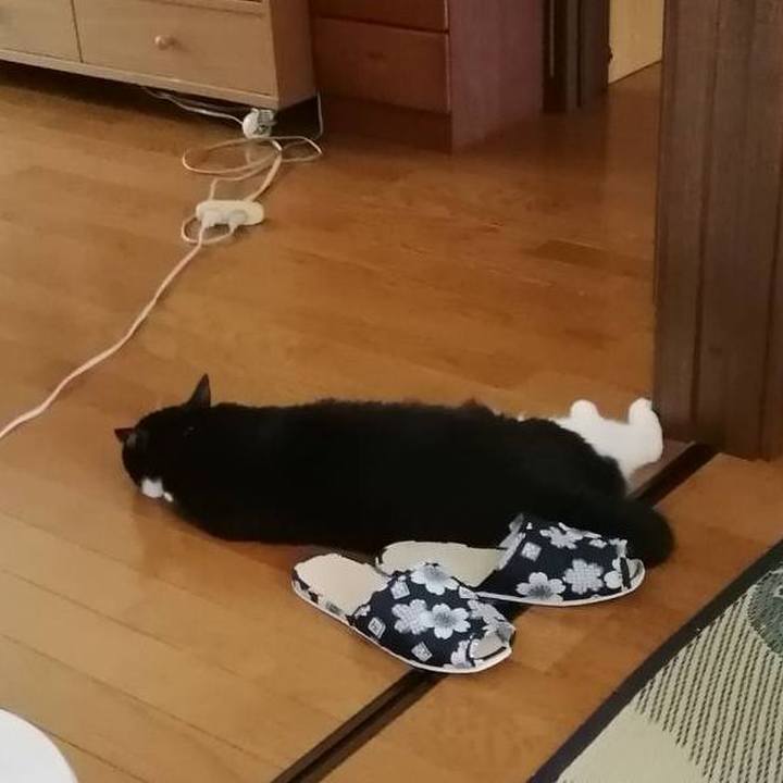 0232bc6c 8138 4fcd bb3d 057af6841a68 1564757038583