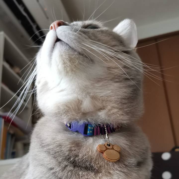 0232db8c e6d7 4de7 9db5 b3505d452837 1604980288738