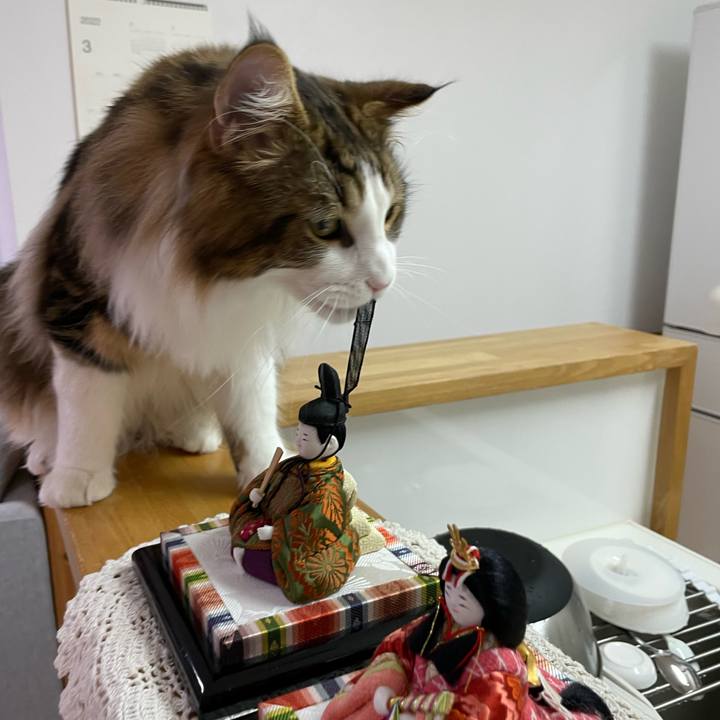 0232e7cb be39 46cf 961f 05022c809fbc 1645998879545