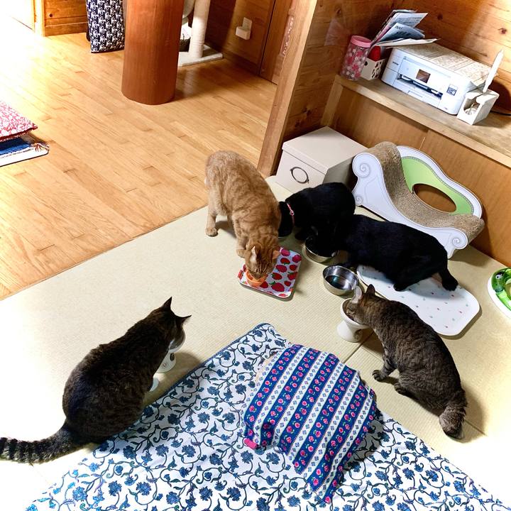 0233128d 1842 4e2e bf90 c48f6d5ba234 1632265162425