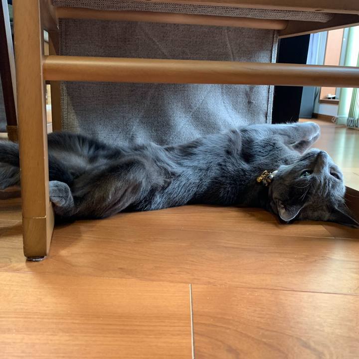 02334d3b c5e2 4e2c 8c72 2c2dc33d519f 1632383079312