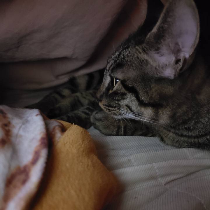 023382a8 226a 4219 8ad9 3c5eef515cbc 1548406919349