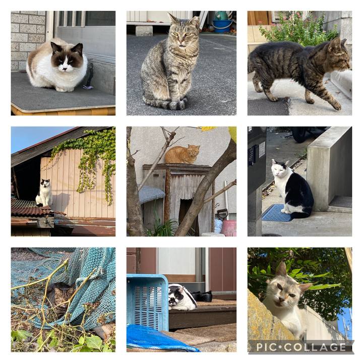 0234003c fb23 4973 b3b3 d05246f90036 1674682810349