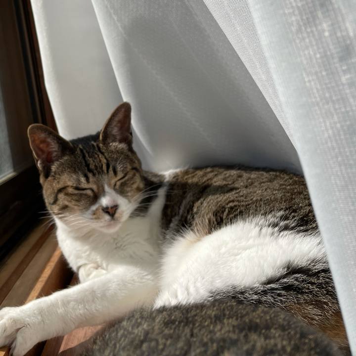 0234018a 1a3b 48a9 aab8 1003307f93f7 1614476157945