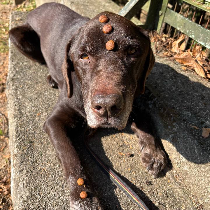 0234206a 4f4f 4c18 8d68 c56a9c21ef16 1765116892360