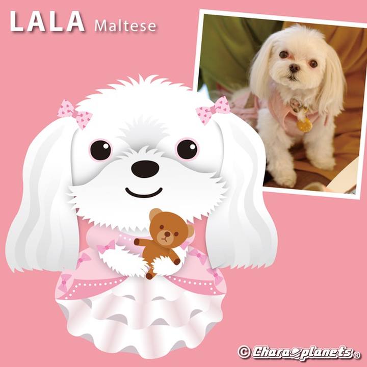 023435fe 7236 457b bd2b 44e108755c0f 1557733903576