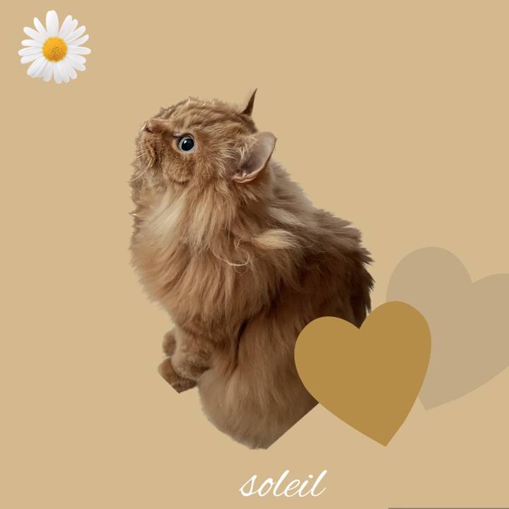 02344852 1cee 44c4 b5ee feb9922e60da 1683236091979