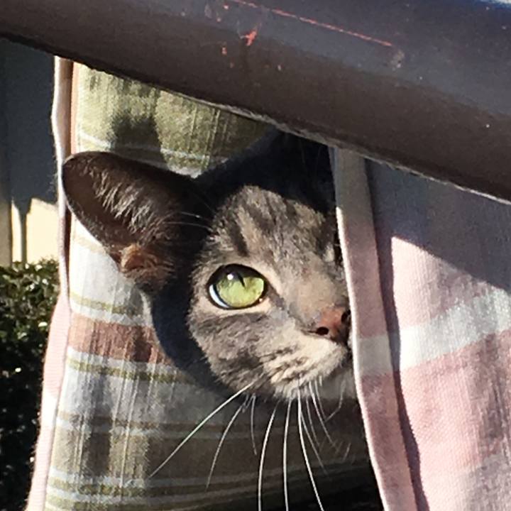 02346435 7f6b 401d bbb3 f2df799fa799 1512796445680