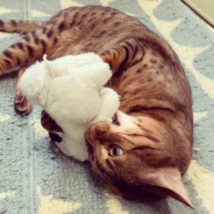 023495c2 b169 418f 86db 21eacd00bcd5 1586296747008