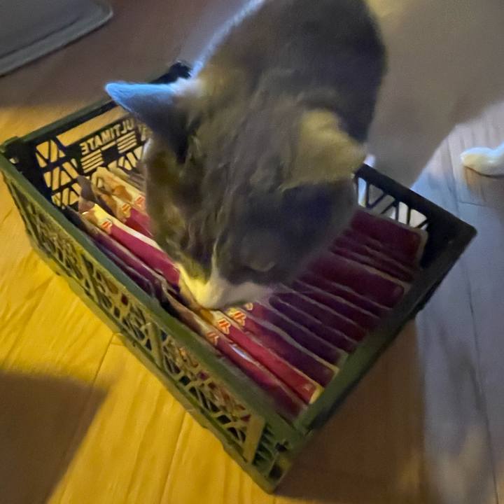 0234975c 7e1e 45e4 b221 222008f3ccb2 1718954980114