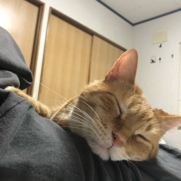 0234b765 d1a0 4879 8d6c f18bcab96071 1649599623463