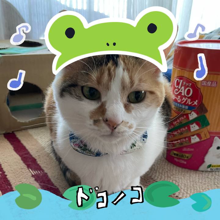 0234f165 5dca 47c8 b654 6682ec650f0c 1717850331950