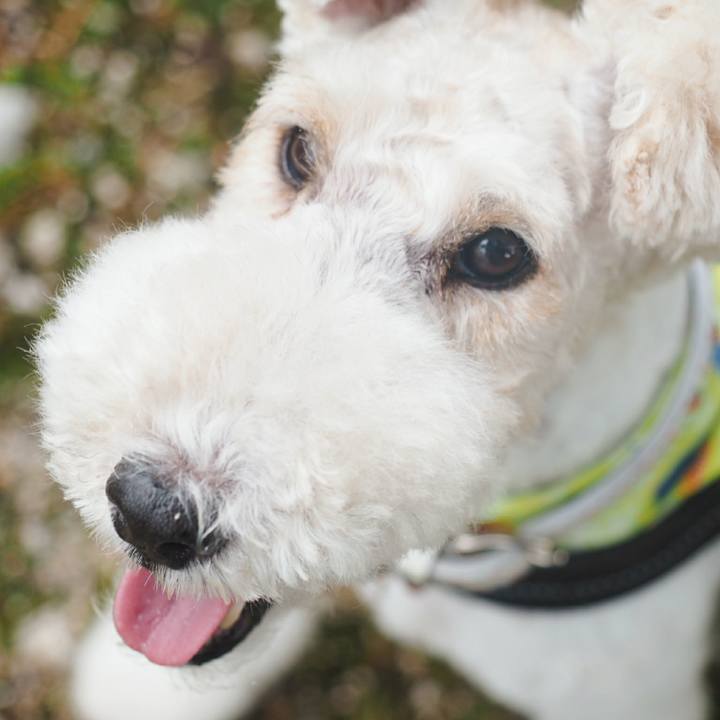 023503aa 0ea6 47f0 a934 734c8c1dff1c 1532819814349