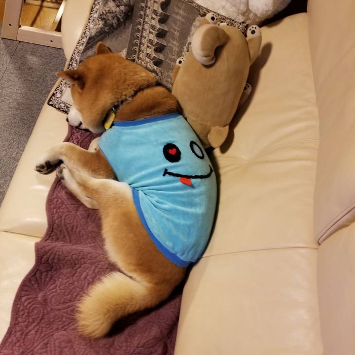 0235270c 0115 4153 82f5 93c893956880 1584097667393