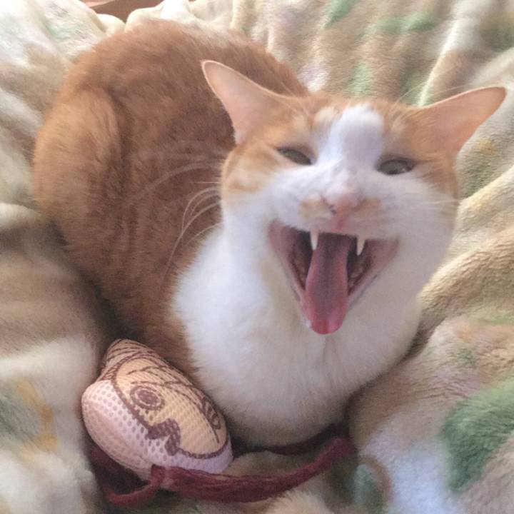 023547f5 57a1 449a aedc f0da98e59c7f 1610628991151