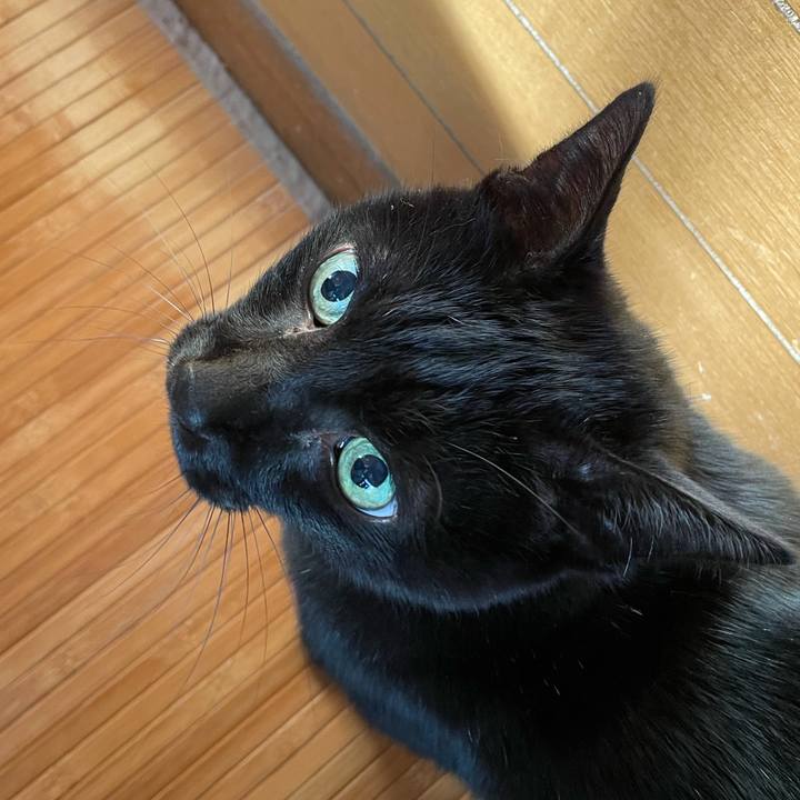 02355234 bc10 4a71 84ba 3a73d6950994 1607218893810