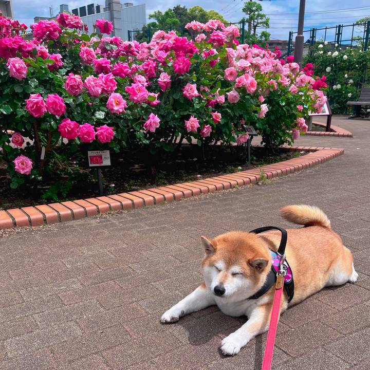 0235973a 1031 4e58 9d32 3dd625963c8a 1682911794801