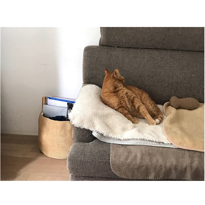 0235b3e2 b870 49a1 8465 2c4ed2b227ba 1619446442145