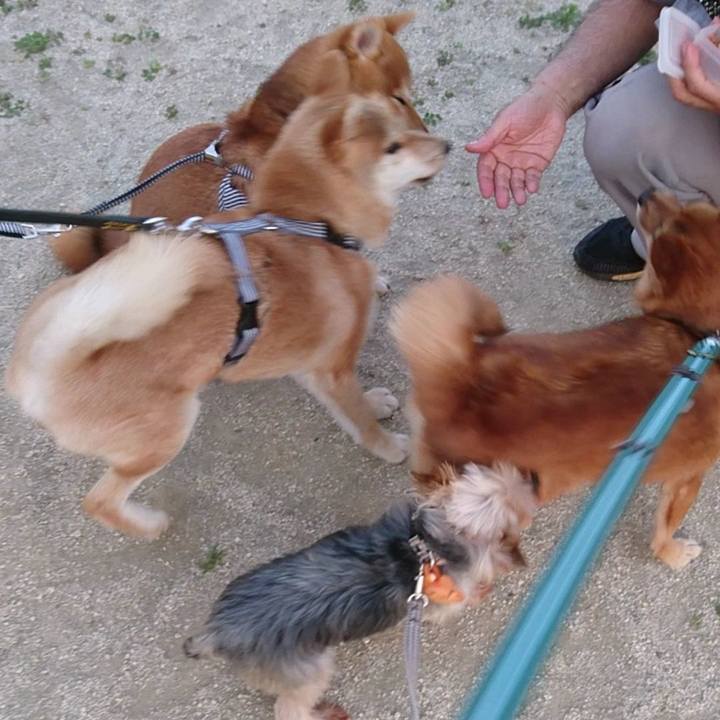 0235b68b 3959 4636 84b1 9c0311187439 1524391091139