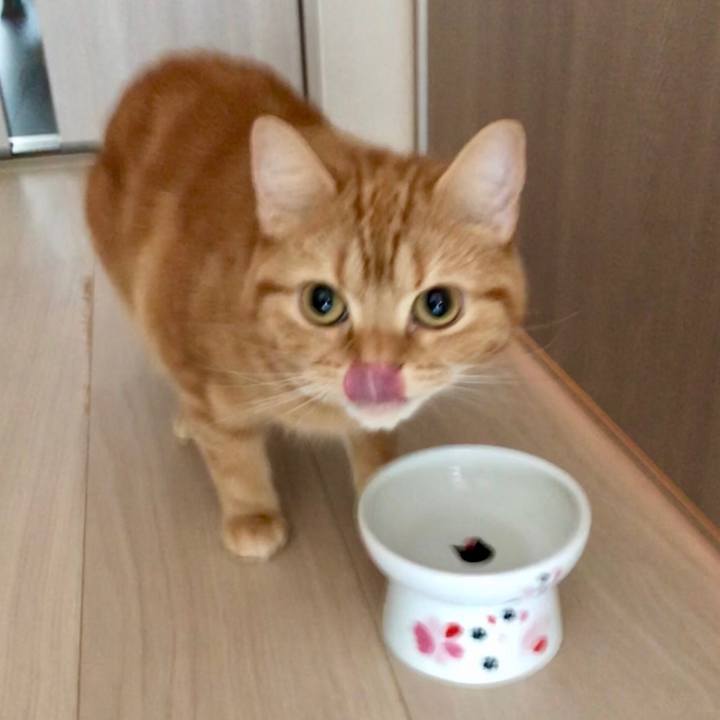 0235d7e7 ccb2 4be1 bd27 c6d8102b949a 1523572724605