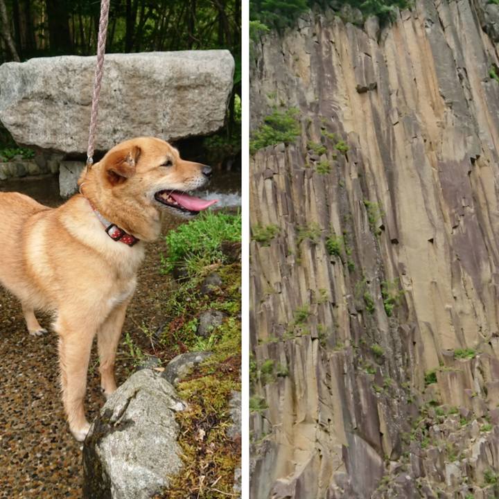 0235dee5 5d91 47cc 9b02 4e4a39920523 1592123171050