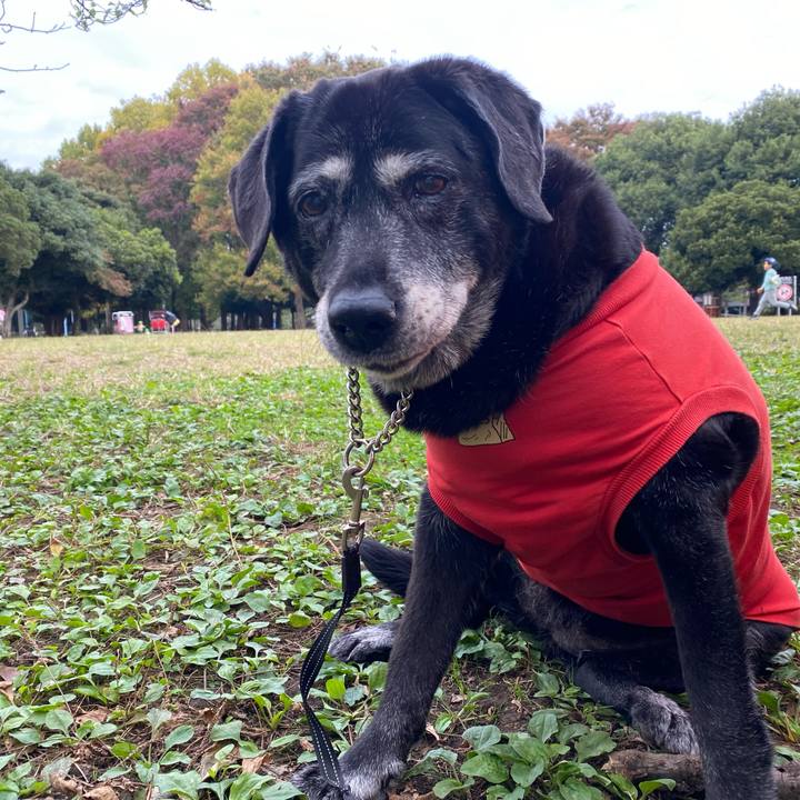 0235eee3 0e29 4002 9db0 7ae5e95902aa 1731547461337