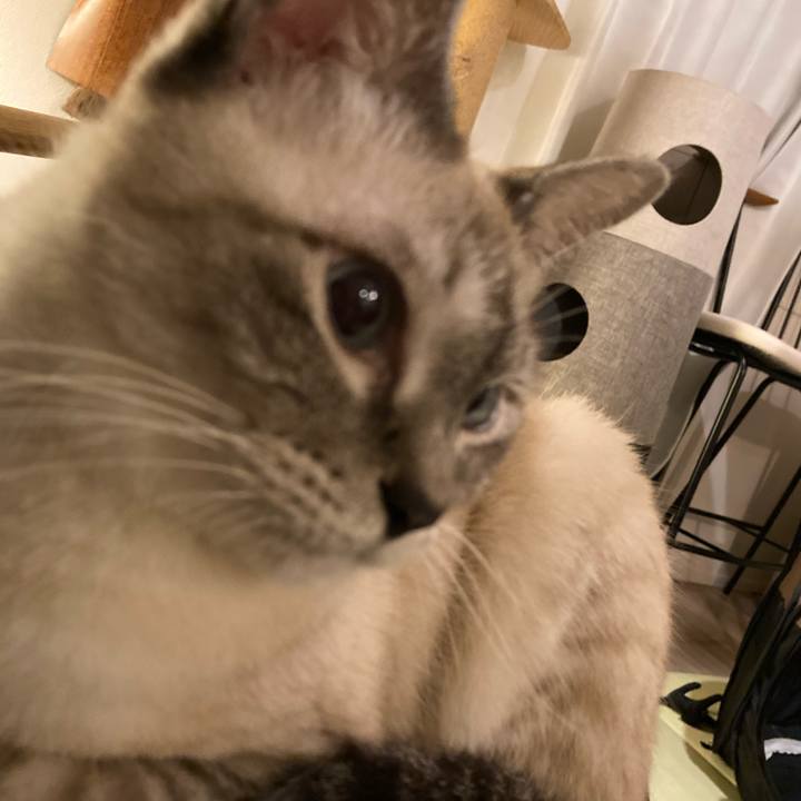 0235ef28 0d71 432f 819b 310c4ffd6cc1 1697413361661