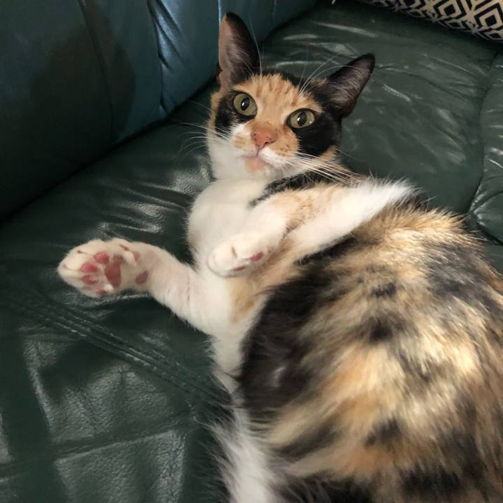 0235f276 41b0 4a22 b820 67106a8eb447 1553562278394