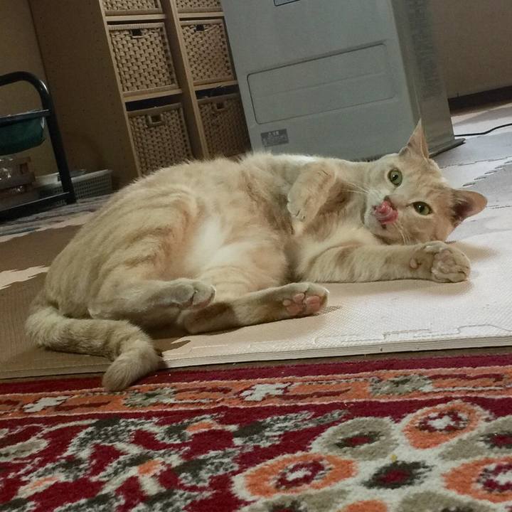 02361f55 6f60 4239 a6a0 6ff95ca60e2c 1556862644557