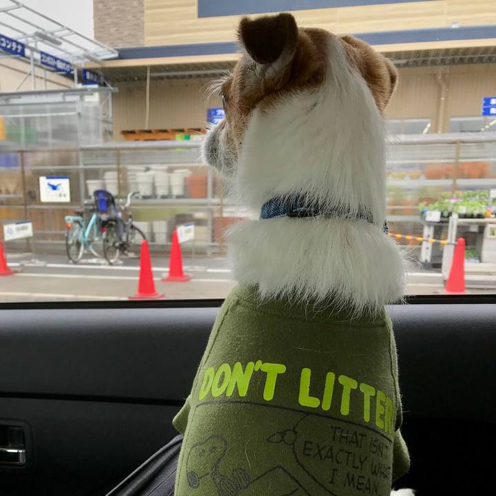 02364225 11fd 4e52 b026 17543f3b2fa0 1556344775909