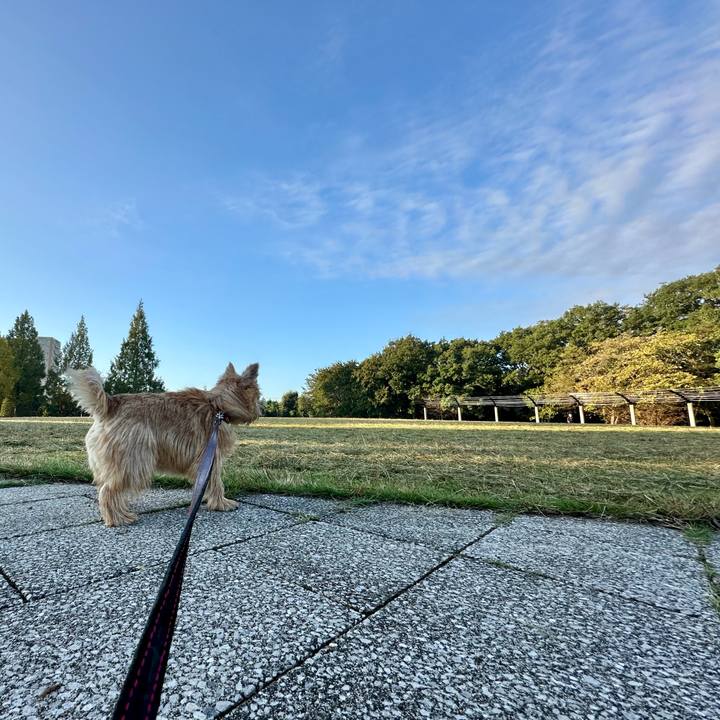 02365c04 b70d 4efd aade 7f3e92ed0671 1728736374975