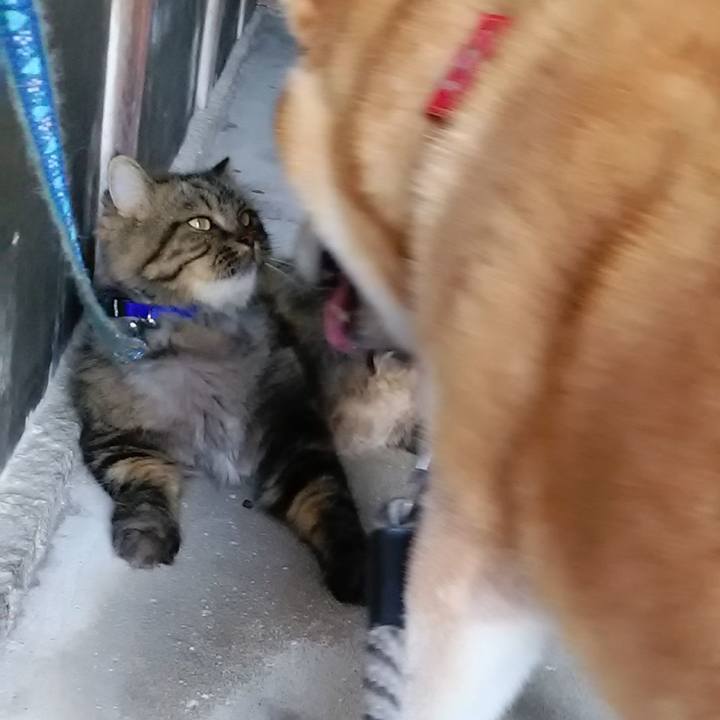 023679ba 3f85 41b3 b850 1d341566bbeb 1628552425088