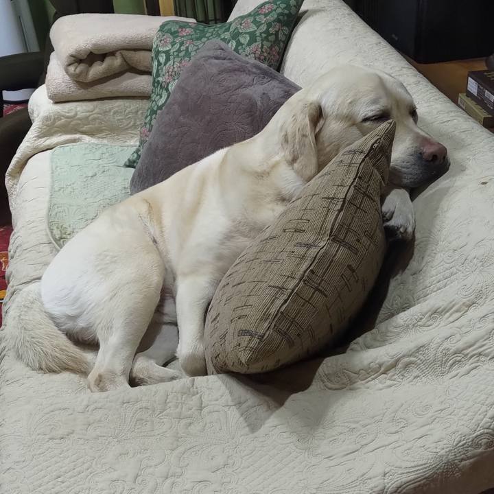 0236973c 7206 4826 af16 1b0ce430a554 1646222581214