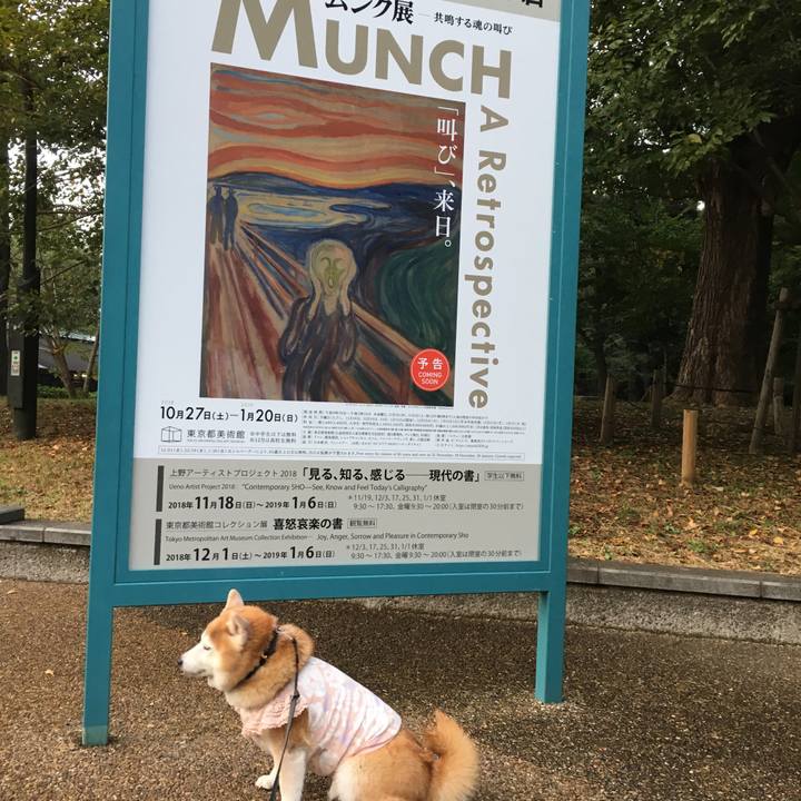 02369eef be62 4023 ae7c c4ad1f17a09d 1540338392199