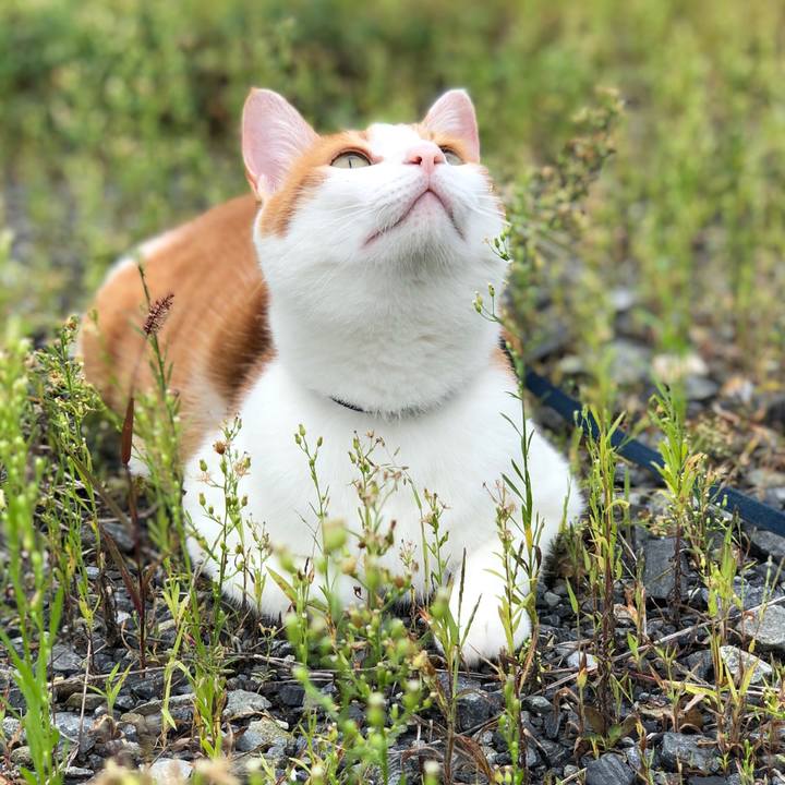 0236c762 5dd8 4fbf 90e0 1dbf04b14e3b 1569232100687