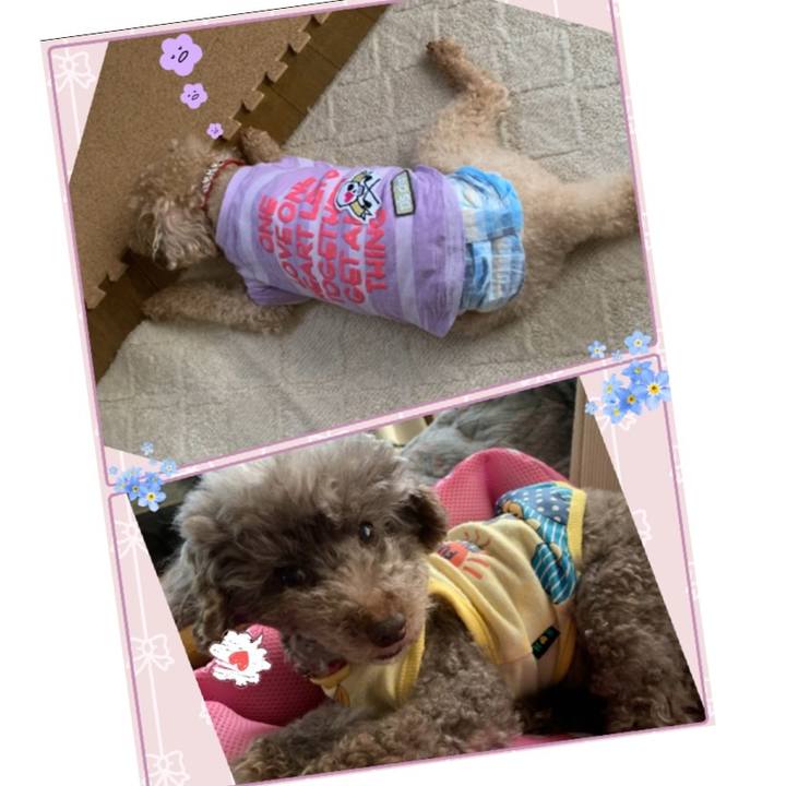 0236c99b 96b3 4312 9a0c c23eea3315f4 1621127565799